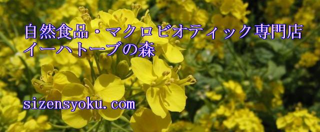 �C�[�n�g�[�u�̐X